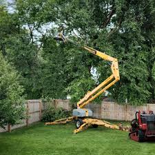 Best Tree Maintenance Programs  in Beckett, NJ